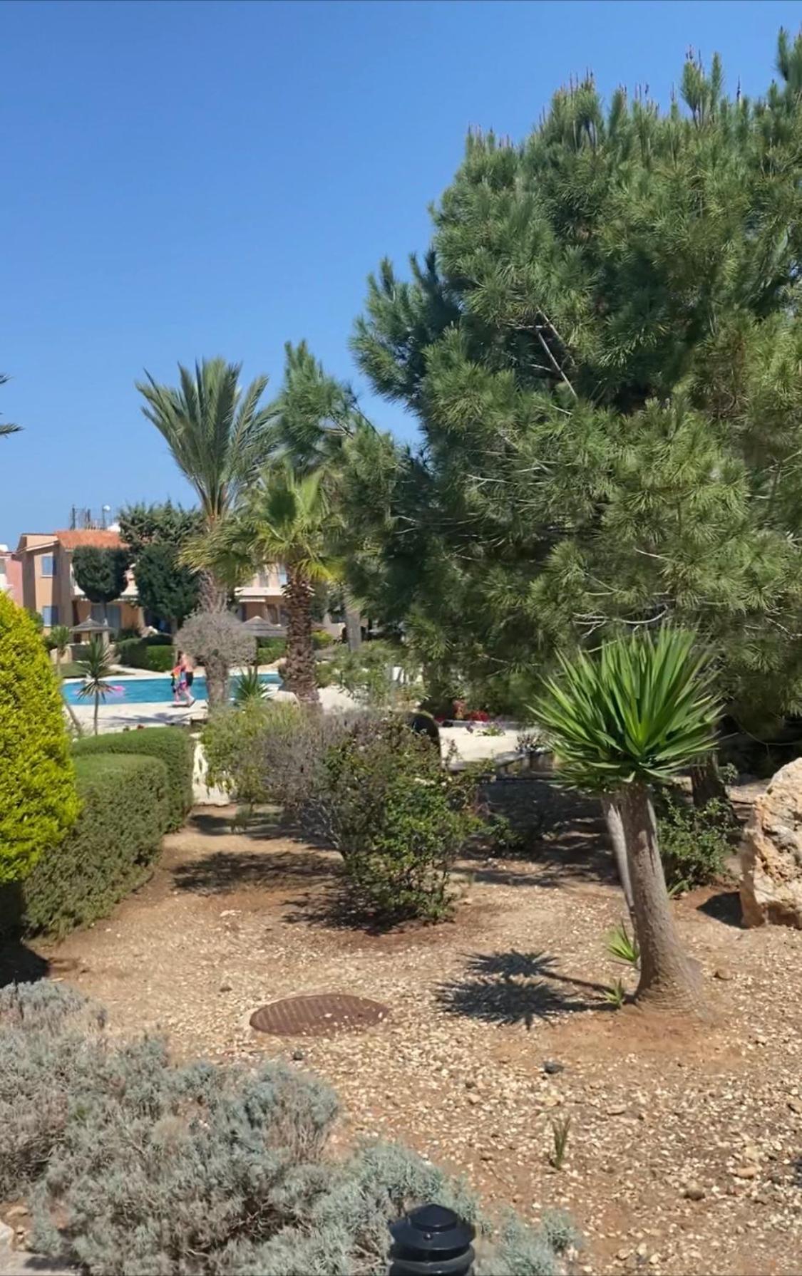 Newly Renovated- Regina Gardens 1, Venus Beach 500 M, Sea&Sunsets View, License Ooo7141 Pafos Exterior foto