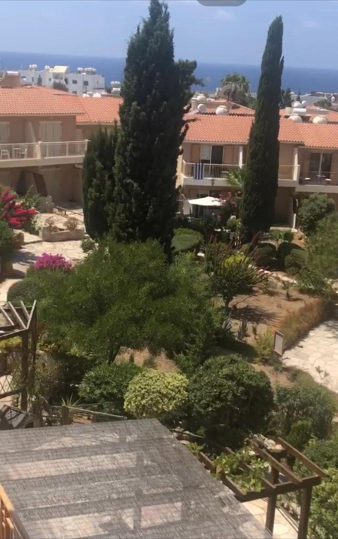 Newly Renovated- Regina Gardens 1, Venus Beach 500 M, Sea&Sunsets View, License Ooo7141 Pafos Exterior foto