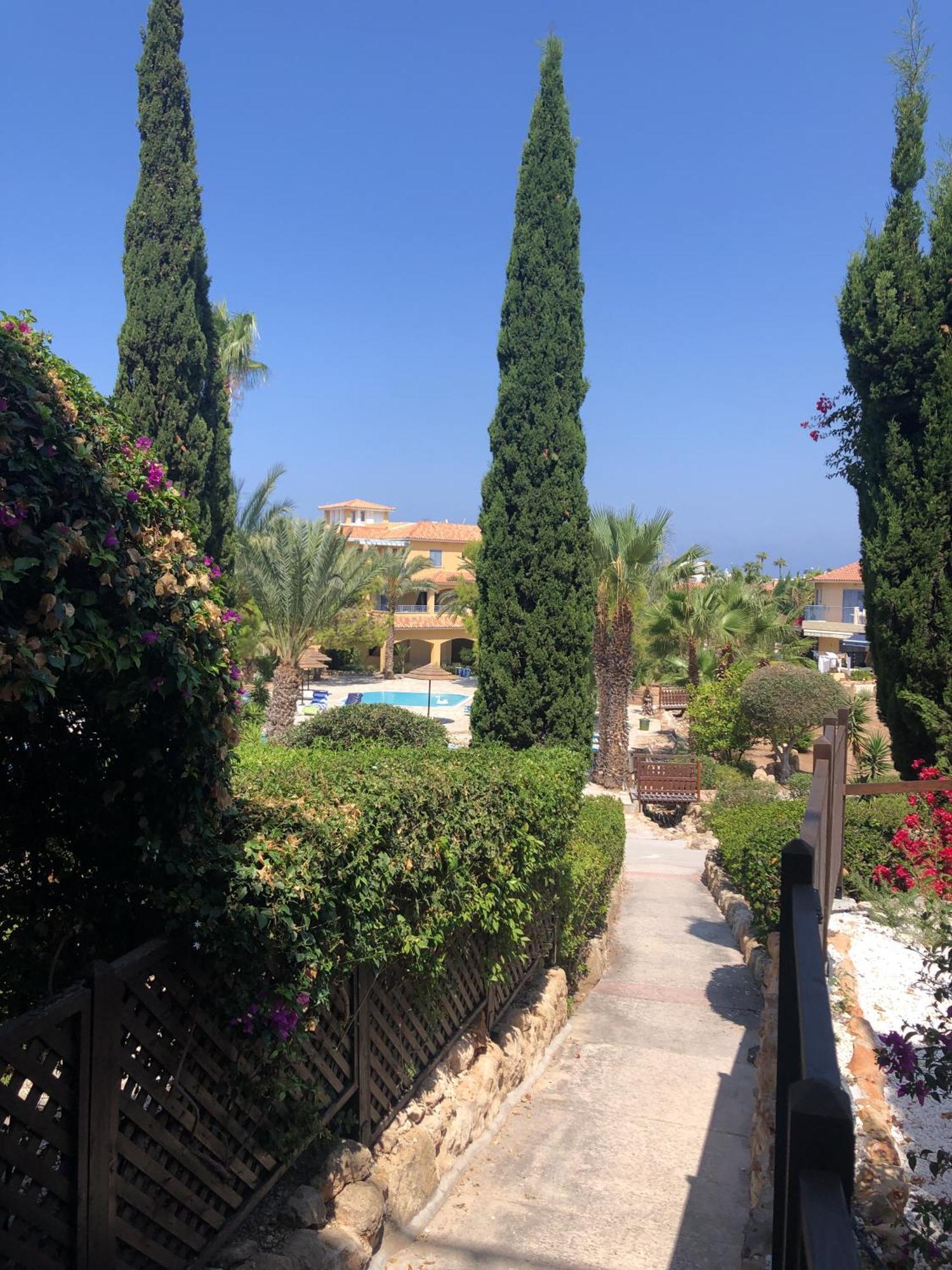 Newly Renovated- Regina Gardens 1, Venus Beach 500 M, Sea&Sunsets View, License Ooo7141 Pafos Exterior foto